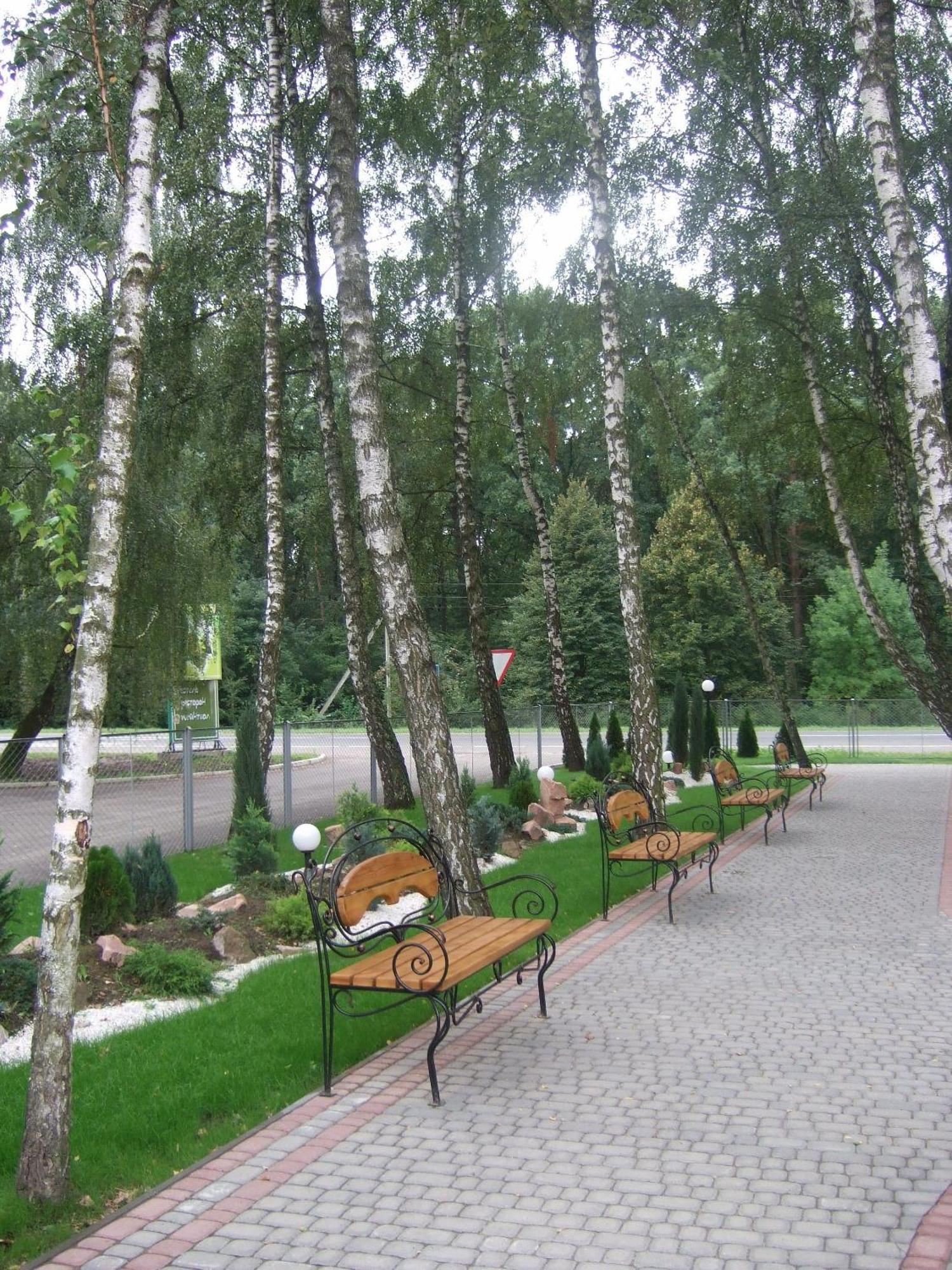 Hotel Complex Zelenyi Gai Kopachuvka Luaran gambar